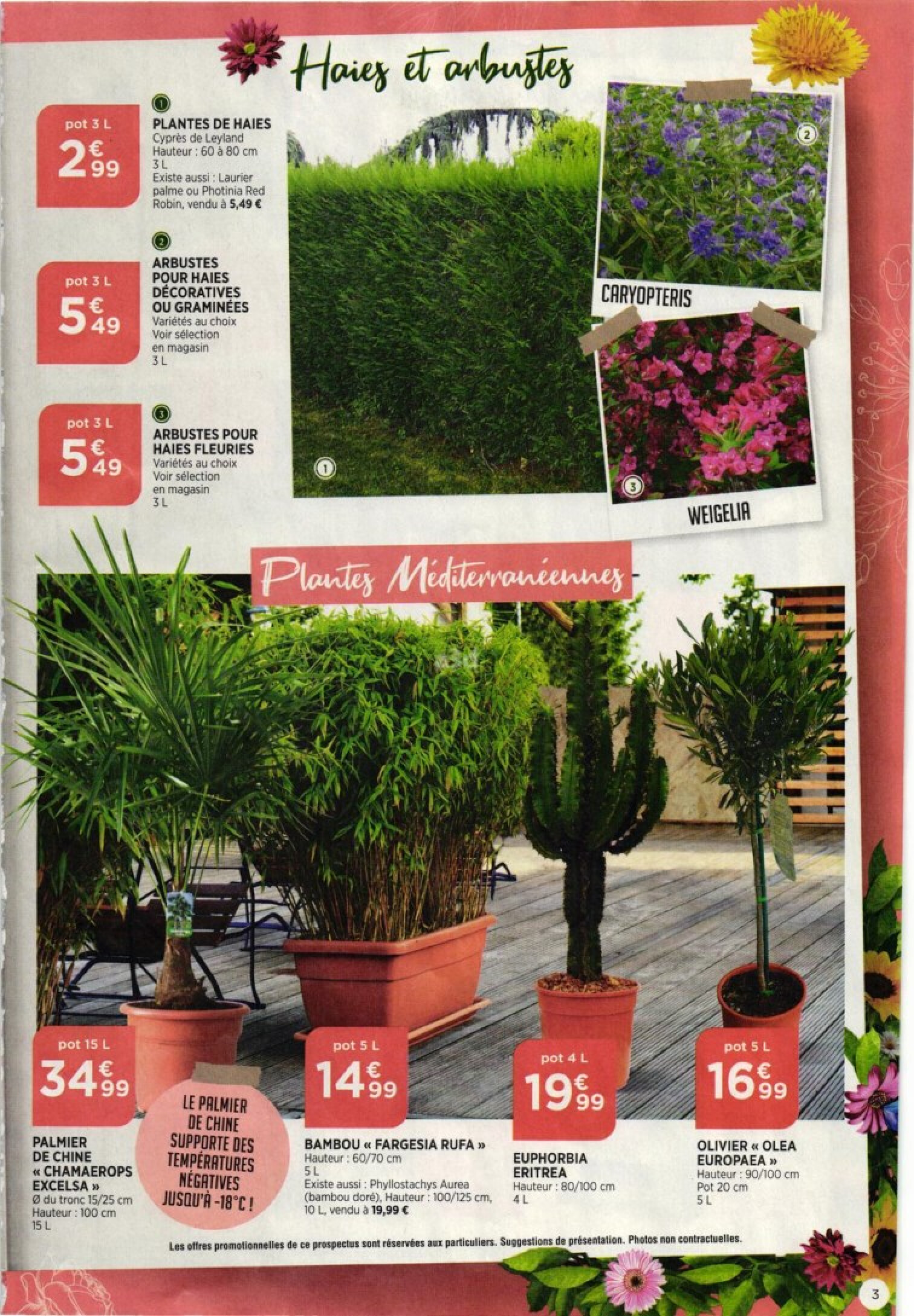 AUCHAN Preparez votre jardin